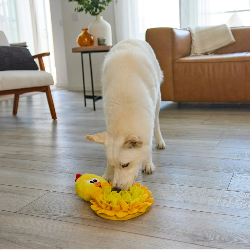 Snuffle mat & squeak toy