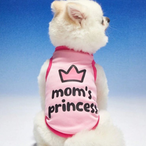 Camisa mom´s princess