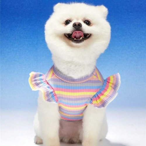 Camisa de rayas