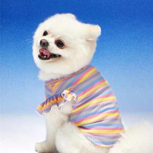 Camisa de rayas