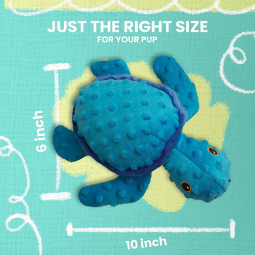 Tucker The Turtle