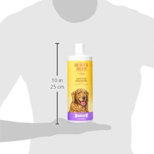 Shampoo "Calming" de Burt’s Bees con lavanda y té verde (32 oz)