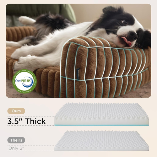 Cama Ortopédica Café (30 pulg)