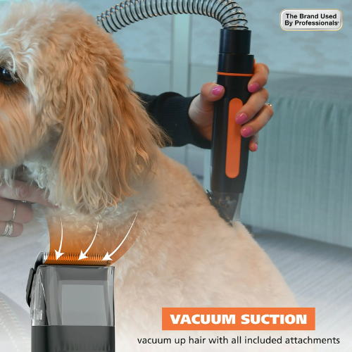 Groom & Vac (14 piezas)