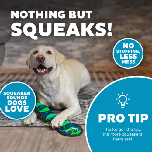 Durablez Snake Dog Toy