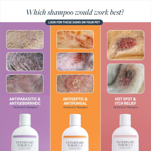 Antiparasitic & Antiseborrheic medicated shampoo
