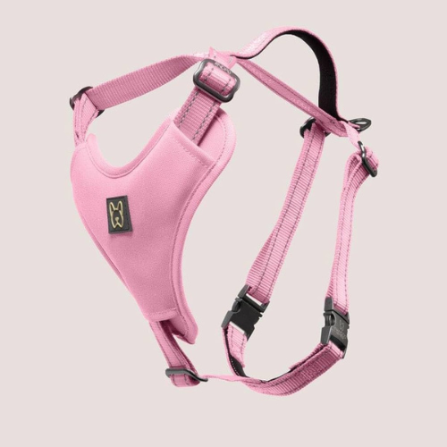 Harness Nandog