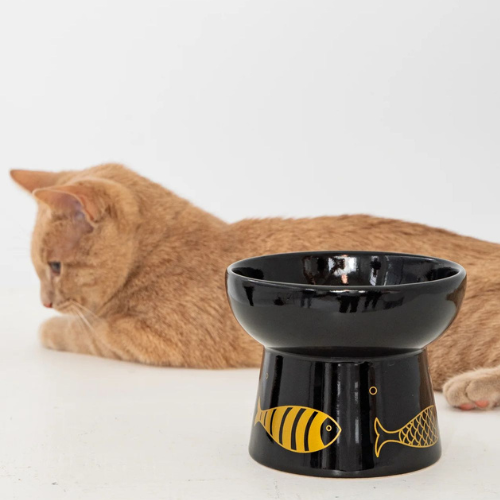 Plato de cerámica elevado para gato