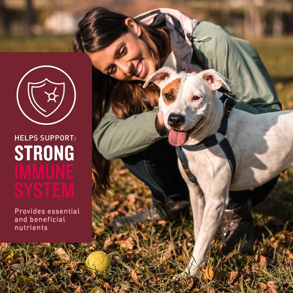 Multivitamínico para perro