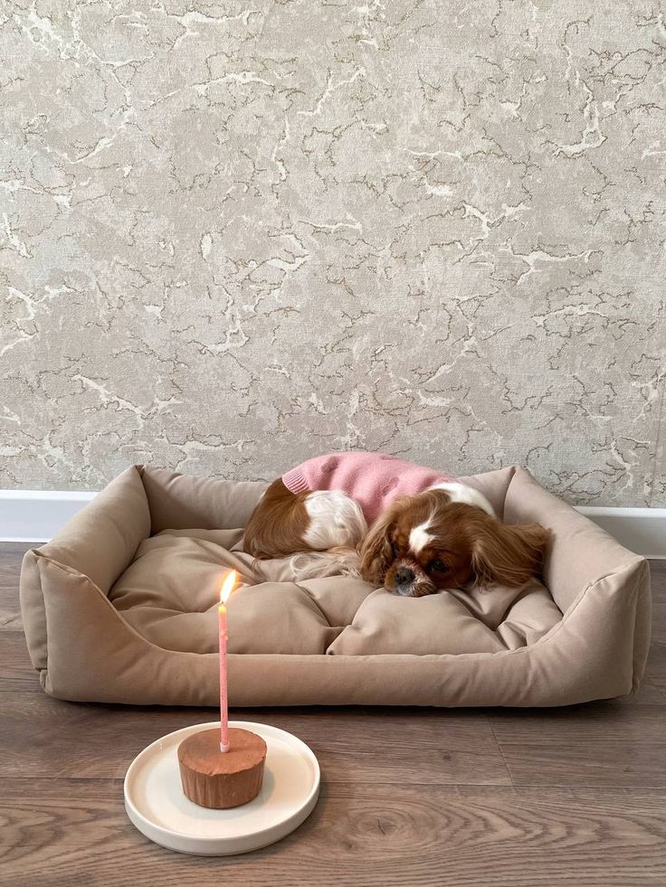 Cumpleaños
