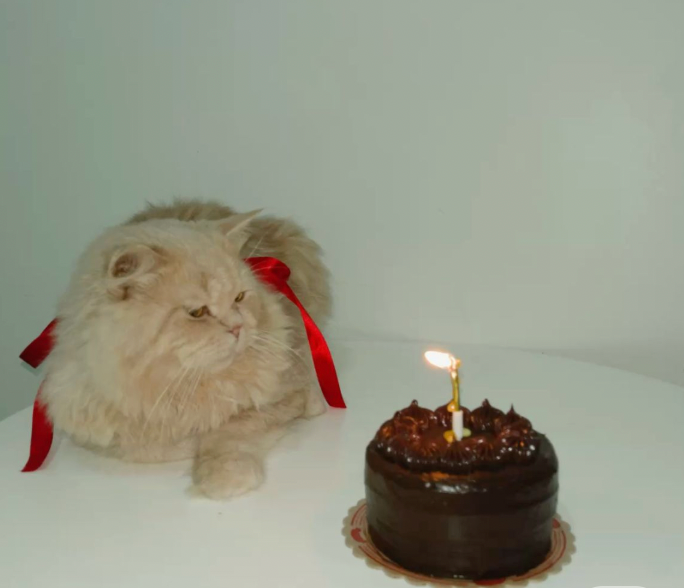 Cumpleaños
