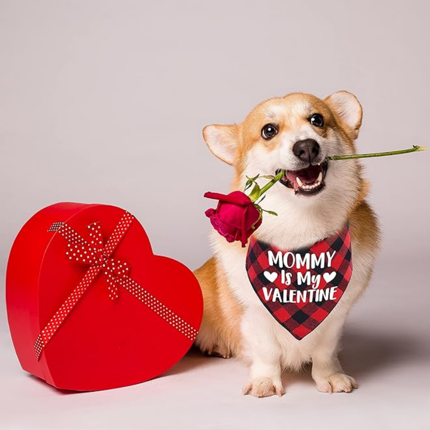 Bandanas san valentin