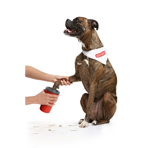 Paw washer