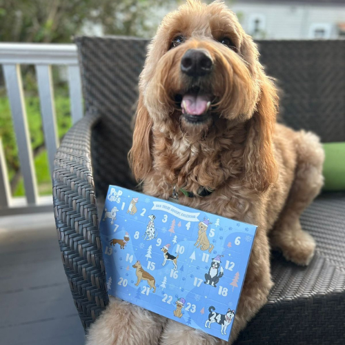 Dog Treat Advent Calendar