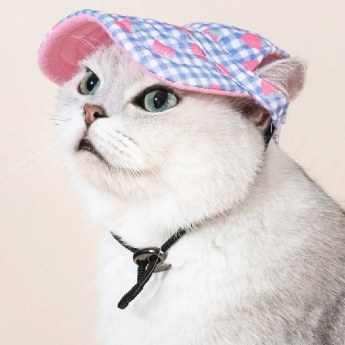 Gorra de Fresas