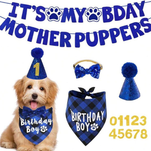 Set de cumpleaños ¨Its my birthday motherpuppers¨