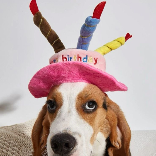 Gorro de cumpleaños