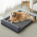 Cama Ortopédica Luna Gris (48 pulg)