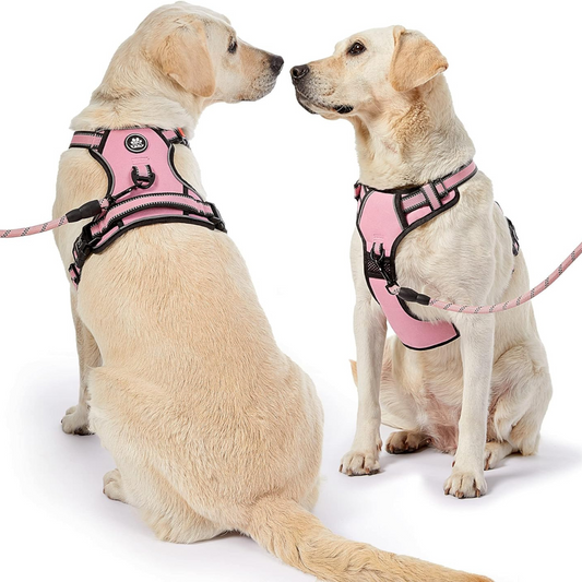 Harness Ajustable Rosado