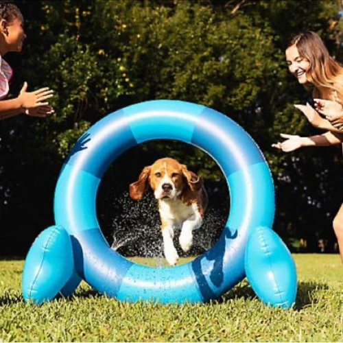 Splash Hoop Pet Sprinkler