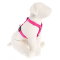 Harness+Correa M