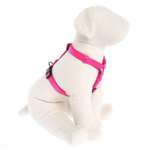 Harness+Correa M