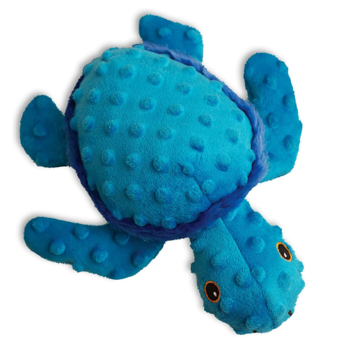 Tucker The Turtle