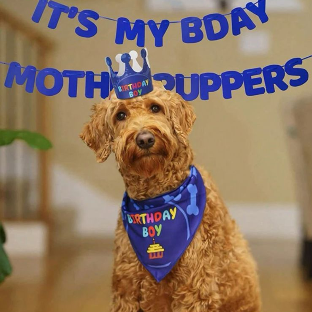 Its my bday mother puppers