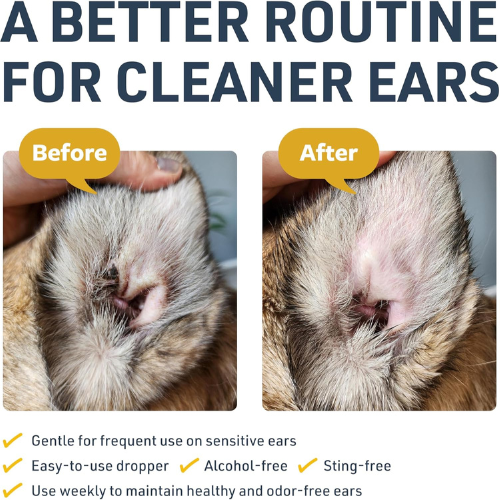 Ear Therapy