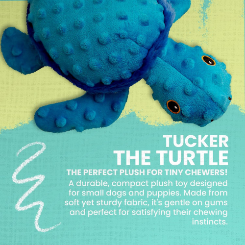 Tucker The Turtle
