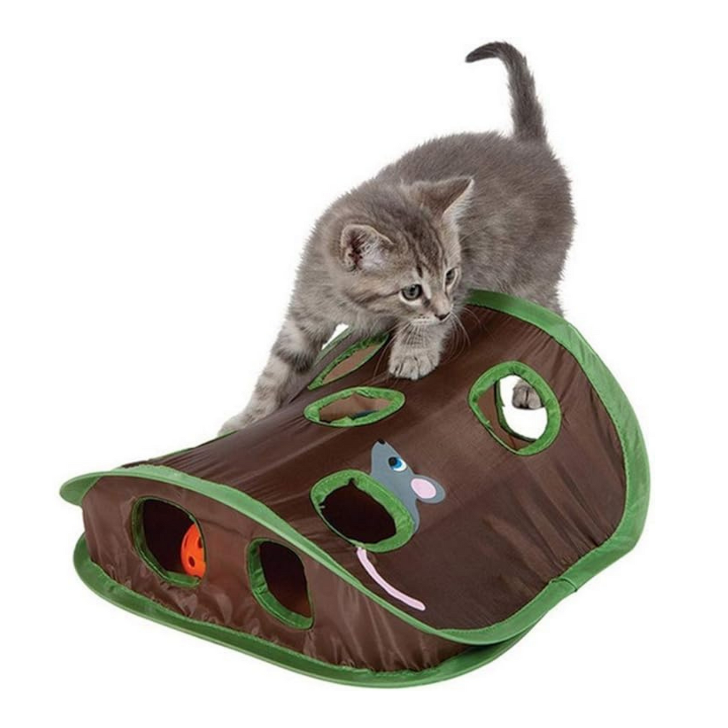 Mouse hunt toy