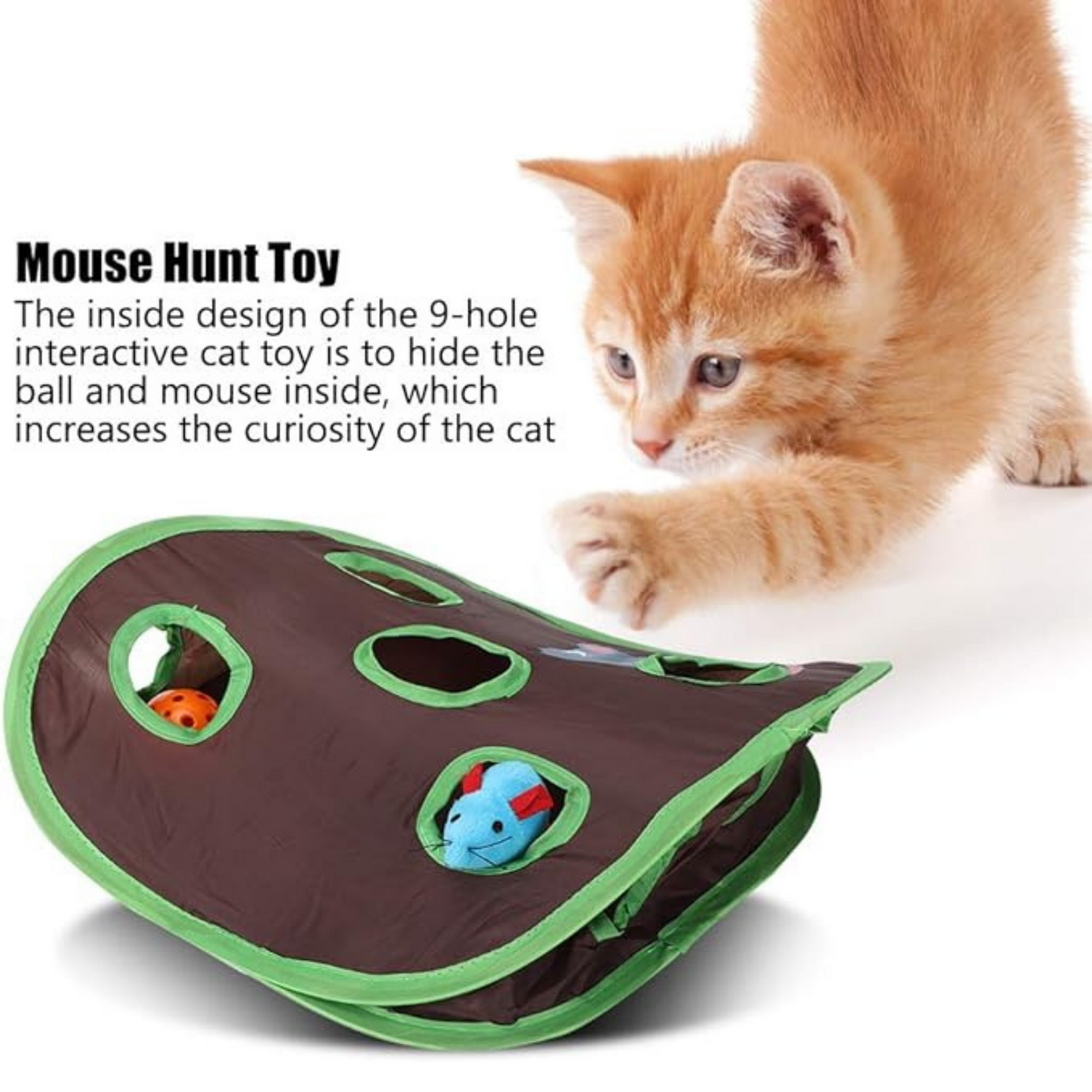 Mouse hunt toy