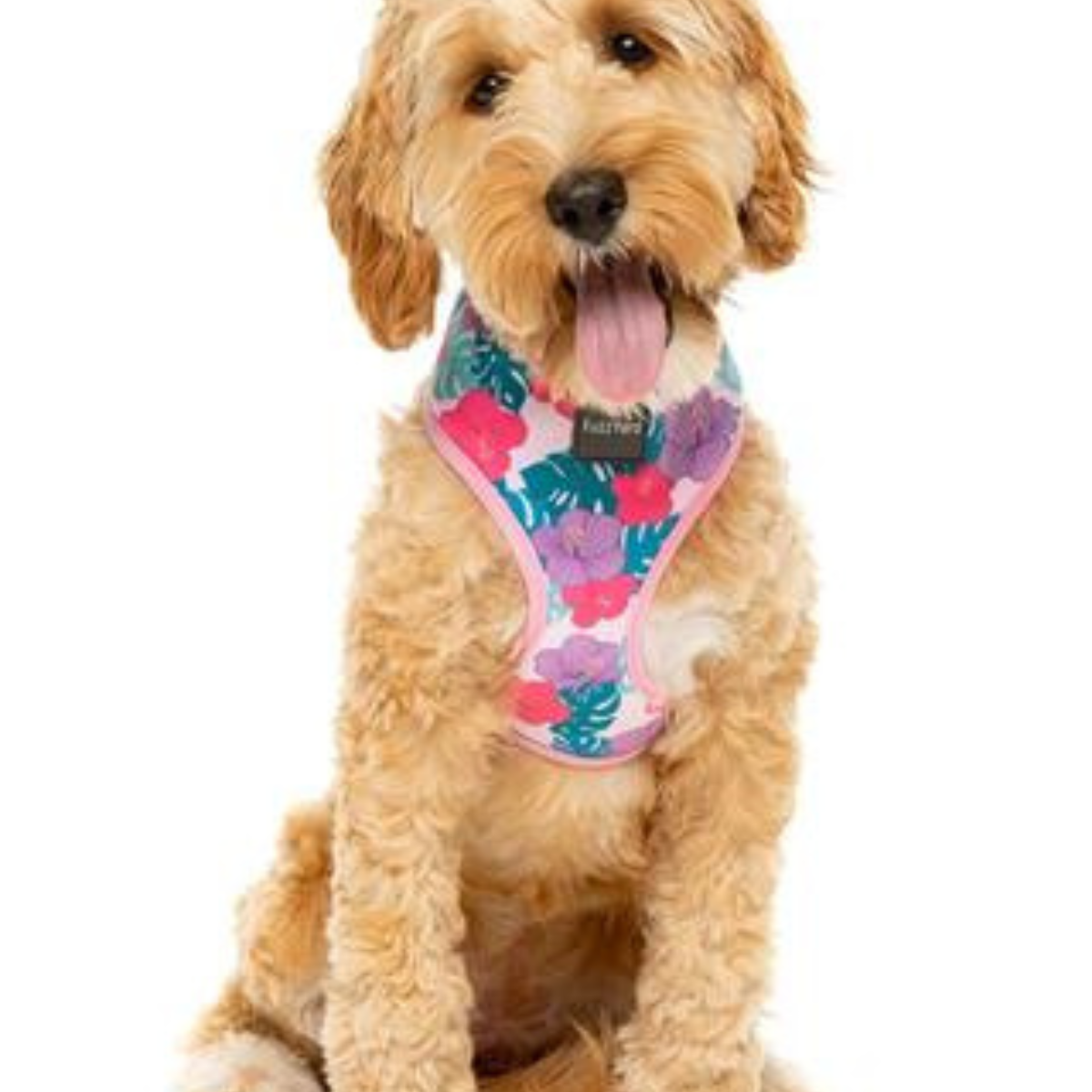 Lahaina Dog Harness