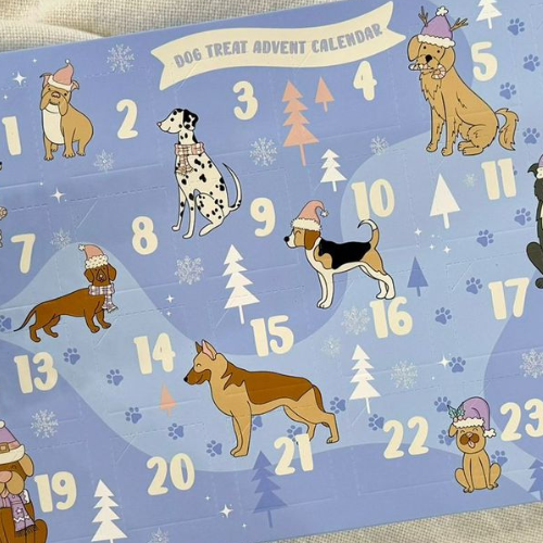 Dog Treat Advent Calendar