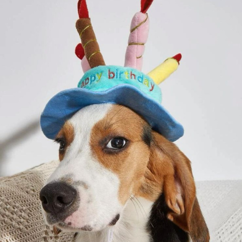 Gorro de cumpleaños