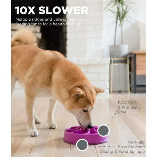 Slow bowl - large