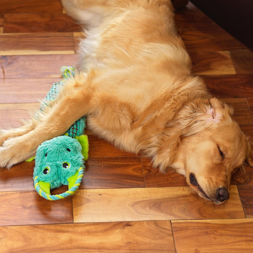 Peluche interactivo