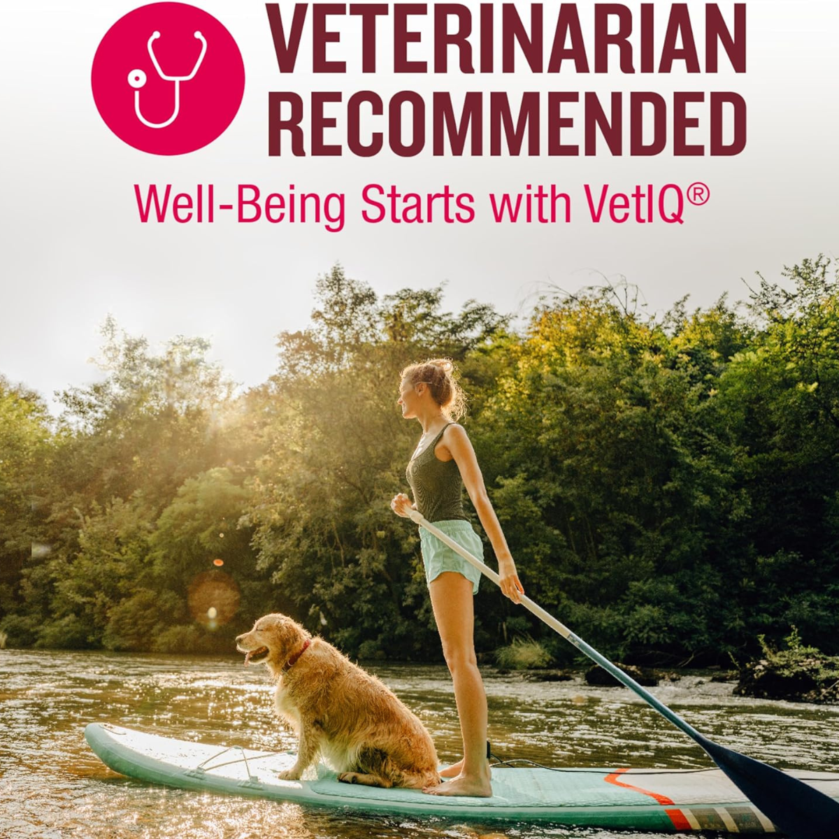 Multivitamínico para perro