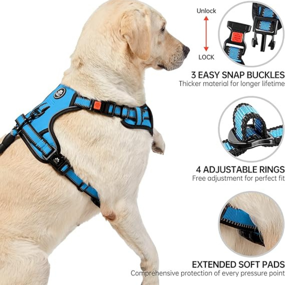 Harness Ajustable Azul