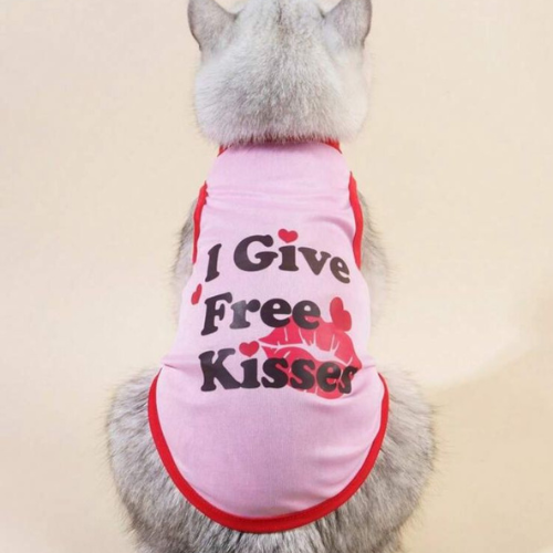 Camisa ¨I give free kisses¨