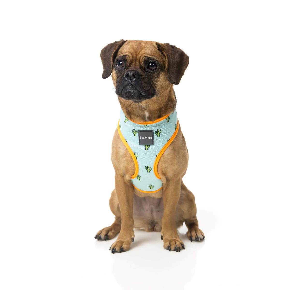 Cactus Dog Harness