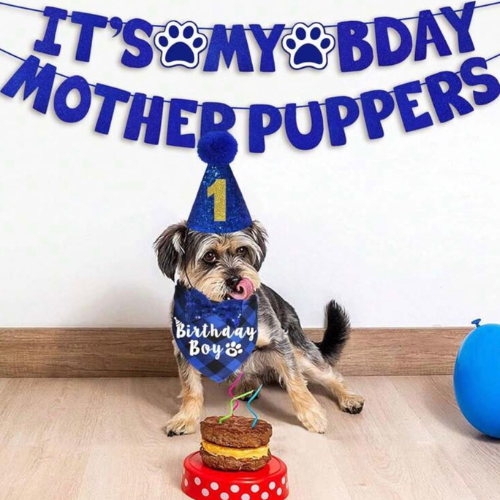 Set de cumpleaños ¨Its my birthday motherpuppers¨
