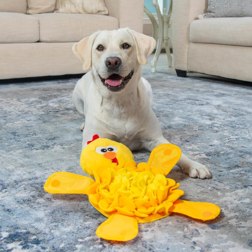 Peluche con alfombra olfativa