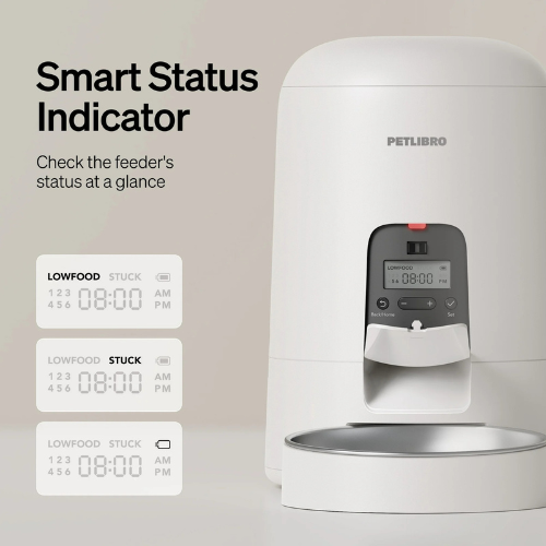 Comedor Automatico