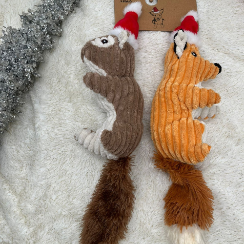 Nutcracker Squirrels