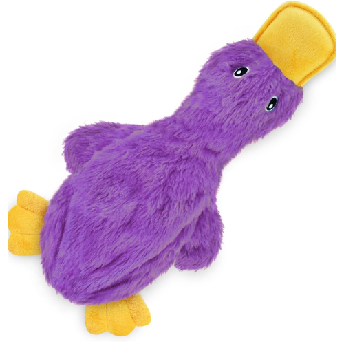 Crinkle Duck (Copy)