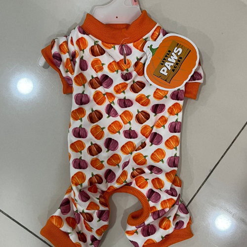 Pijama de calabaza