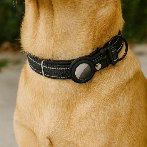 Collar para airtag (talla s)