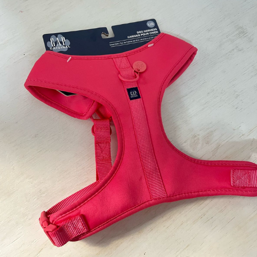 Harness Gap Fucsia